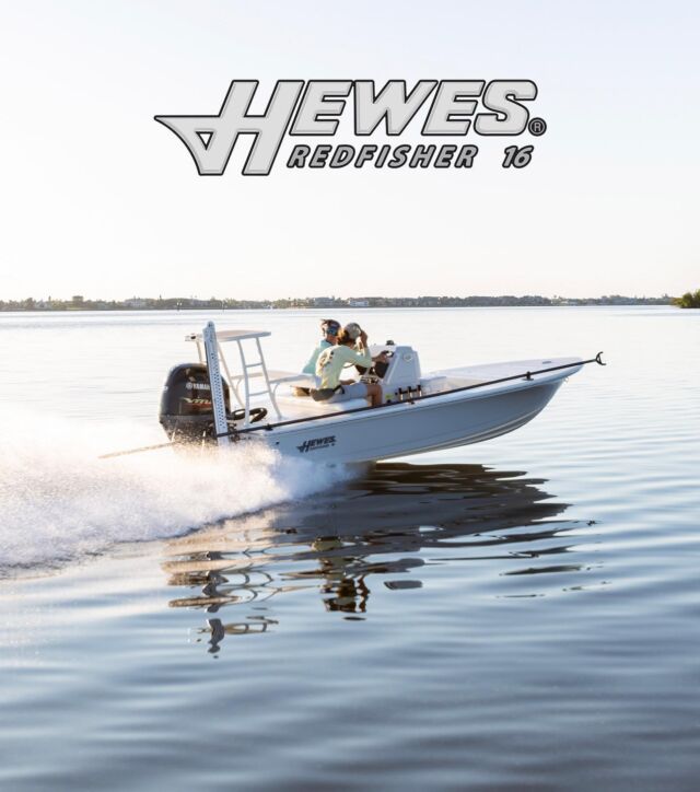 Hewes boats new arrivals