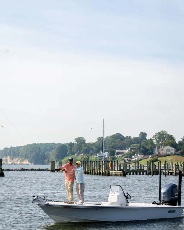 Hewes boats discount